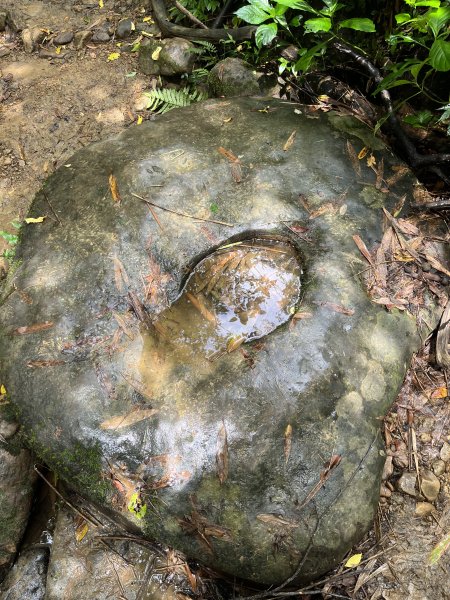 [微笑山線_第十二段] 2025_0803 五分山系_嶺腳寮山2851324