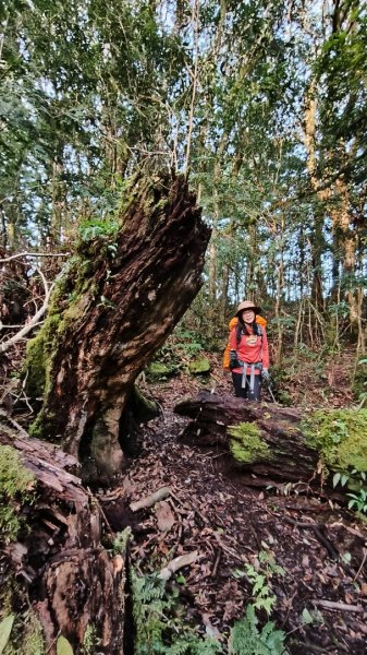 新康五天~戒茂斯進，出瓦拉米2949603