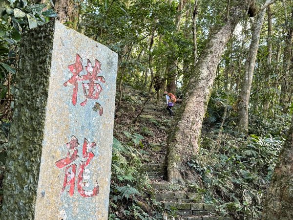 騰龍山-橫龍古道-橫龍山 202411232652978