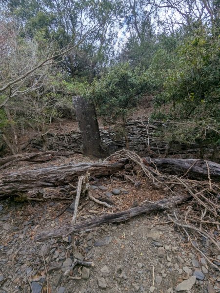 白鷺部落至大武藏山與舊古樓社2782353