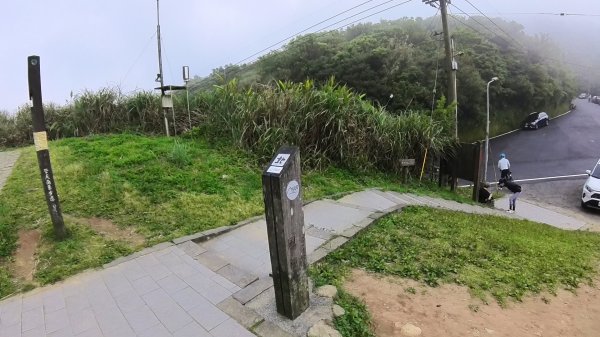 20250501_陽明山東西大縱走-round#32784135