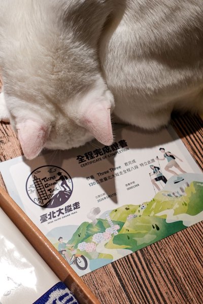 台北大縱走｜完成證書 x 徽章獎品 x 路線全攻略3092341