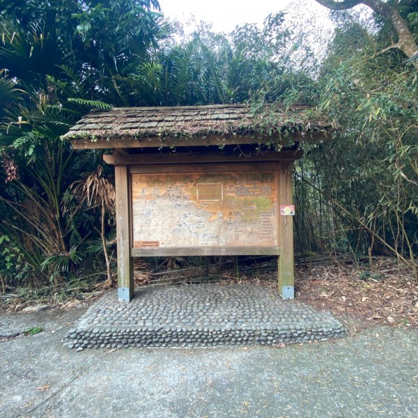 台南大凍山 1241M 小百岳#631270953