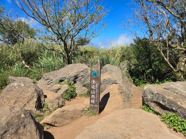 大屯主峰-連峰步道環形（小百岳）2904370