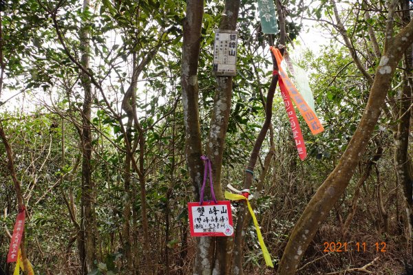 苗栗 銅鑼 員屯山1512829