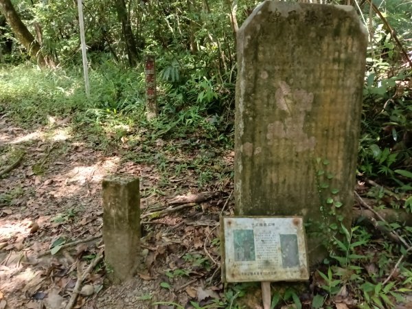 雙溪區北勢溪古道+畚箕湖古道+三層巷古道+北勢溪古道P字走2909467