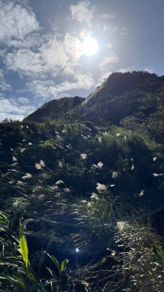 2025草嶺古道2970592