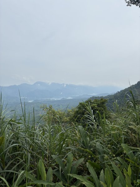 20260802梅嶺;獵鷹尖+梅峰3094695