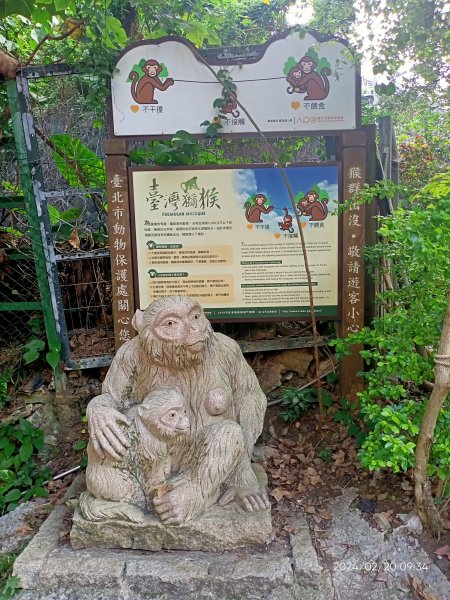 天母水管路步道→天母古道→陽明天主堂2432171