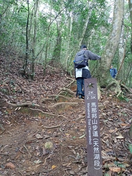 四訪苗栗的花果山-小百岳#037馬那邦山、雪霸國家公園管理處【小百岳集起來、苗栗-臺灣百大必訪步道】2394336
