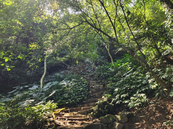 小百岳No.23⛰溪洲山2506986