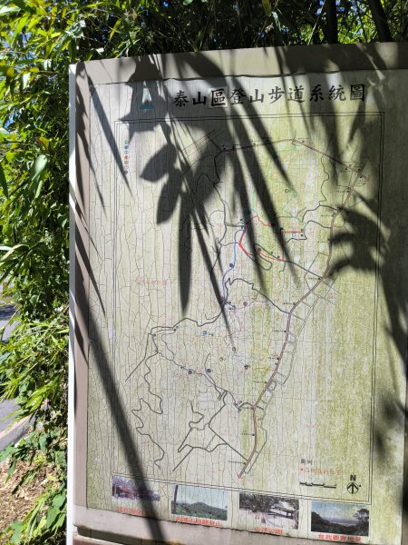 20250906泰山辭修公園、尖棟山、69步道、瓊仔胡2879472