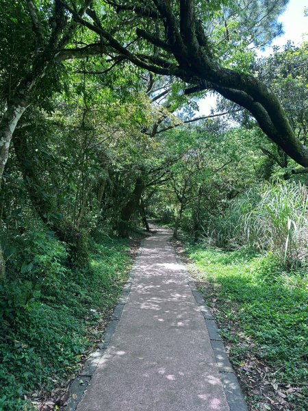 台北大縱走第一段2766799