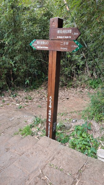 台北大縱走第一段1249181