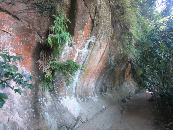 2025.09.21－微笑山線：【鳶山山系】鳶山彩壁段2898712