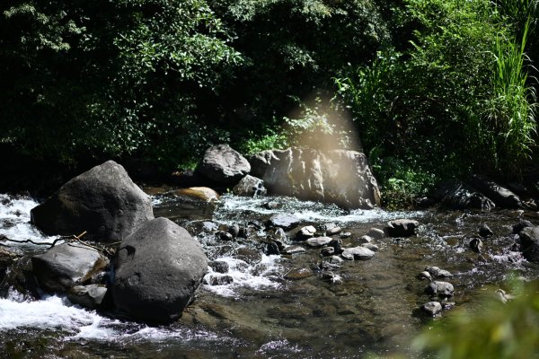 2025_0628 溪瀧步道2824968