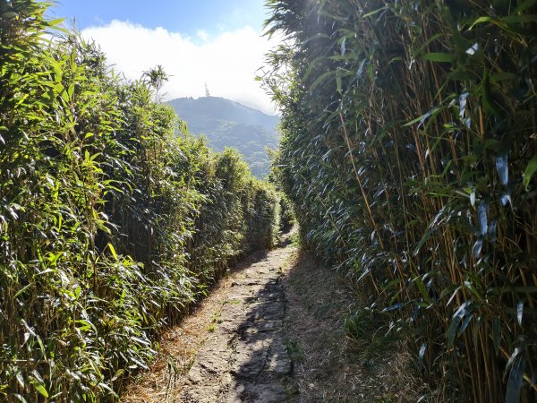 [百山百鳥尋旅-11/15] 2025_0927 大屯主峰-連峰步道_大屯山2899270