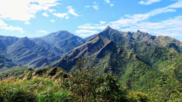 龍脊上的呼吸 (劍龍稜)2993657