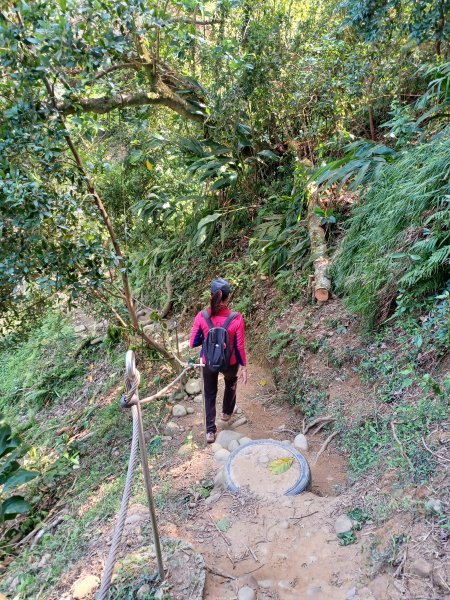 【台中大肚】綠蔭成徑。 大肚萬里長城步道O繞2790779