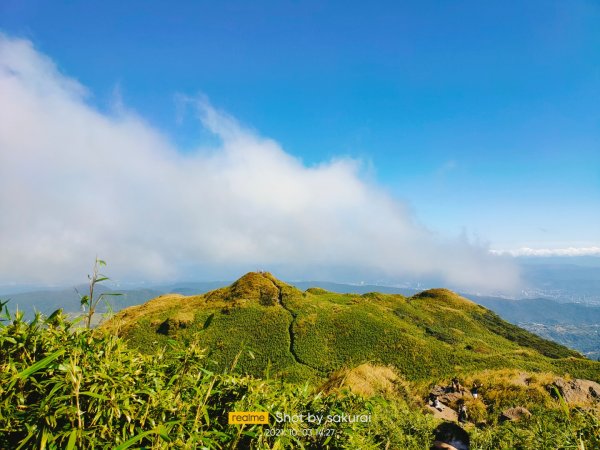 七星山 海拔：1120  小百岳021586570