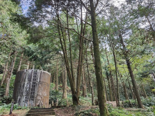 2023.12.27 東眼山2838846