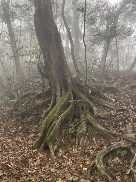 藤枝山&鳴海山2964424