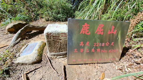 水漾森林、鹿屈山、眠月神木2729646