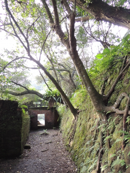 104.02.28  望古>嶺腳寮，菁桐14739