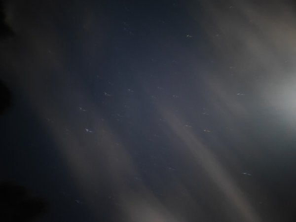 2025英仙座流星雨2859368