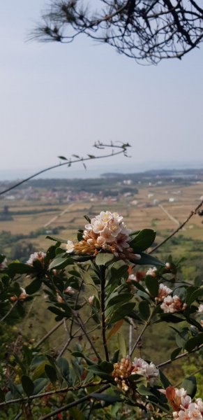 太武山-斗門登山古道560215