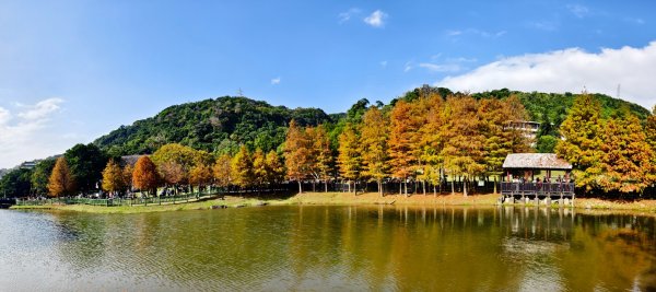 #花卉試驗中心 #永公路500巷 #平菁街42巷 #原住民公園 #士林官邸 1/42980361