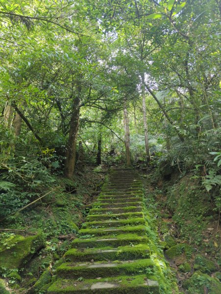 2026.03.14－微笑山線：【五分山系】3015443