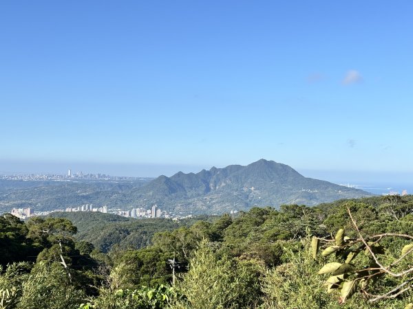 面天山、向天山、向天池2921010