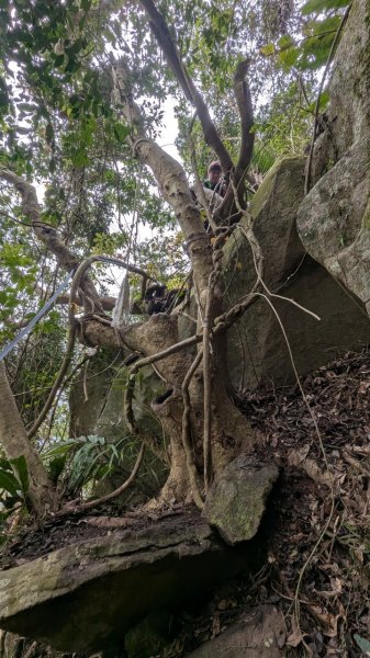 113.12.28小鷹尖-關山嶺-五八山-凌雲尖-龍女岩之旅2679374