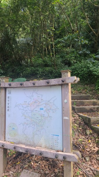 2025-0310臺北大縱走第七段2737286