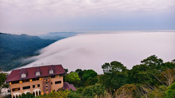 苗栗大湖 #薑麻園 #雲洞山莊 #琉璃光 #雲海 #雲瀑 2/222718330