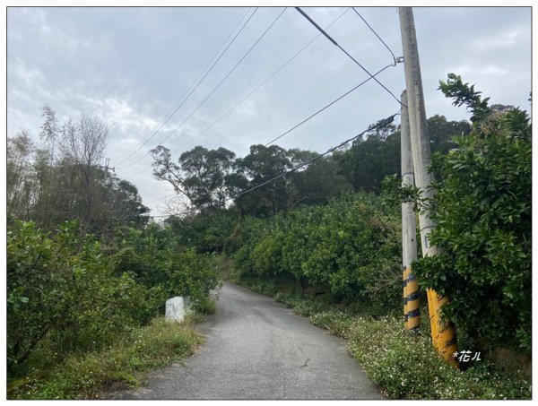 下南勢坑山、四角坪步道O型路線2717007