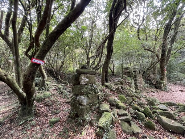 內寮古道-山川石2592395