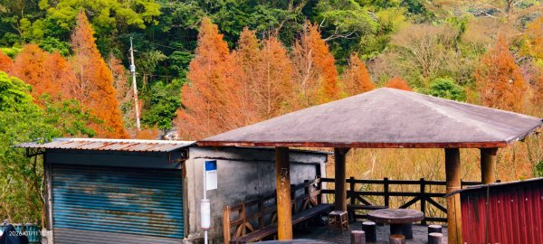 #花卉試驗中心 #永公路500巷 #平菁街42巷 #原住民公園 #士林官邸 1/42980392