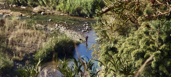 2026/01/04_龍峎頂+肚兜角步道2978140