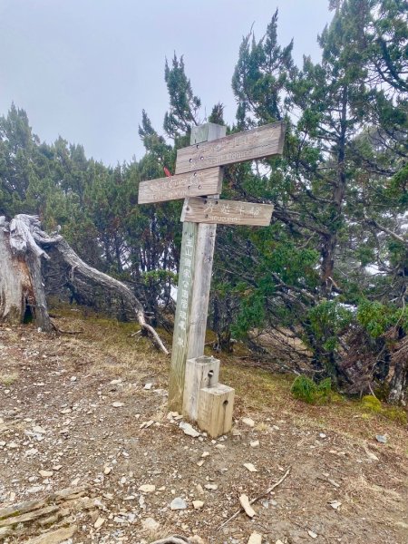 啟動高山度假模式~金牌三小隊之馬博橫斷8日2964944
