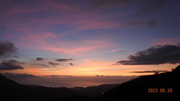 雲山水花鳥蝶 - 天龍國阿伯的日常 6/262195471