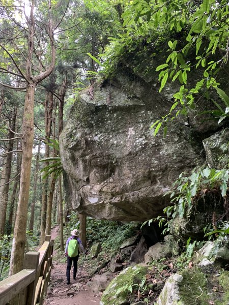 馬武督外鳥嘴山955892