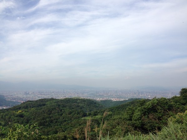 2015.06.18樹林大棟山1003399