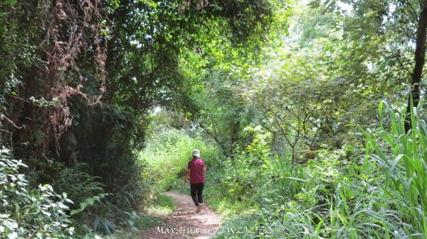 《彰化》稜線雙龍｜田中森林登山步道O型202506292824359