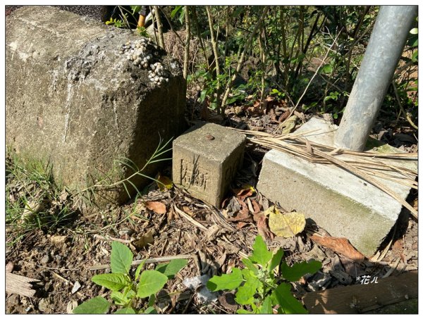 老崎古道、老崎坪頂山 (頭份)2737110