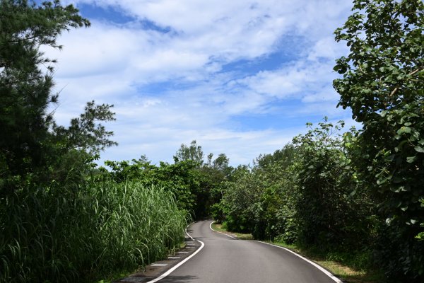 [跟著2025雙北世壯運探索雙北市-4/21] 2025_0614 飛沙扣殺徑（龍門吊橋、鹽寮濱海步2813015