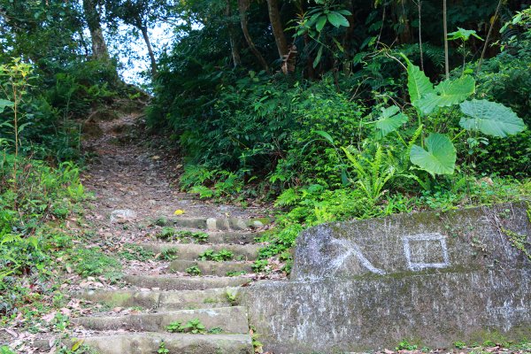 猴山岳。二格山。小獅山連走616095