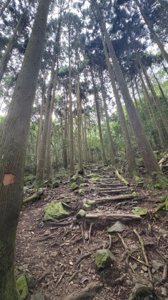 加里山封面