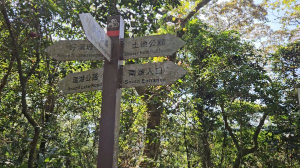 20251216太平山石門山小粗坑山O型+蕃薯藤TINA廚房2972584